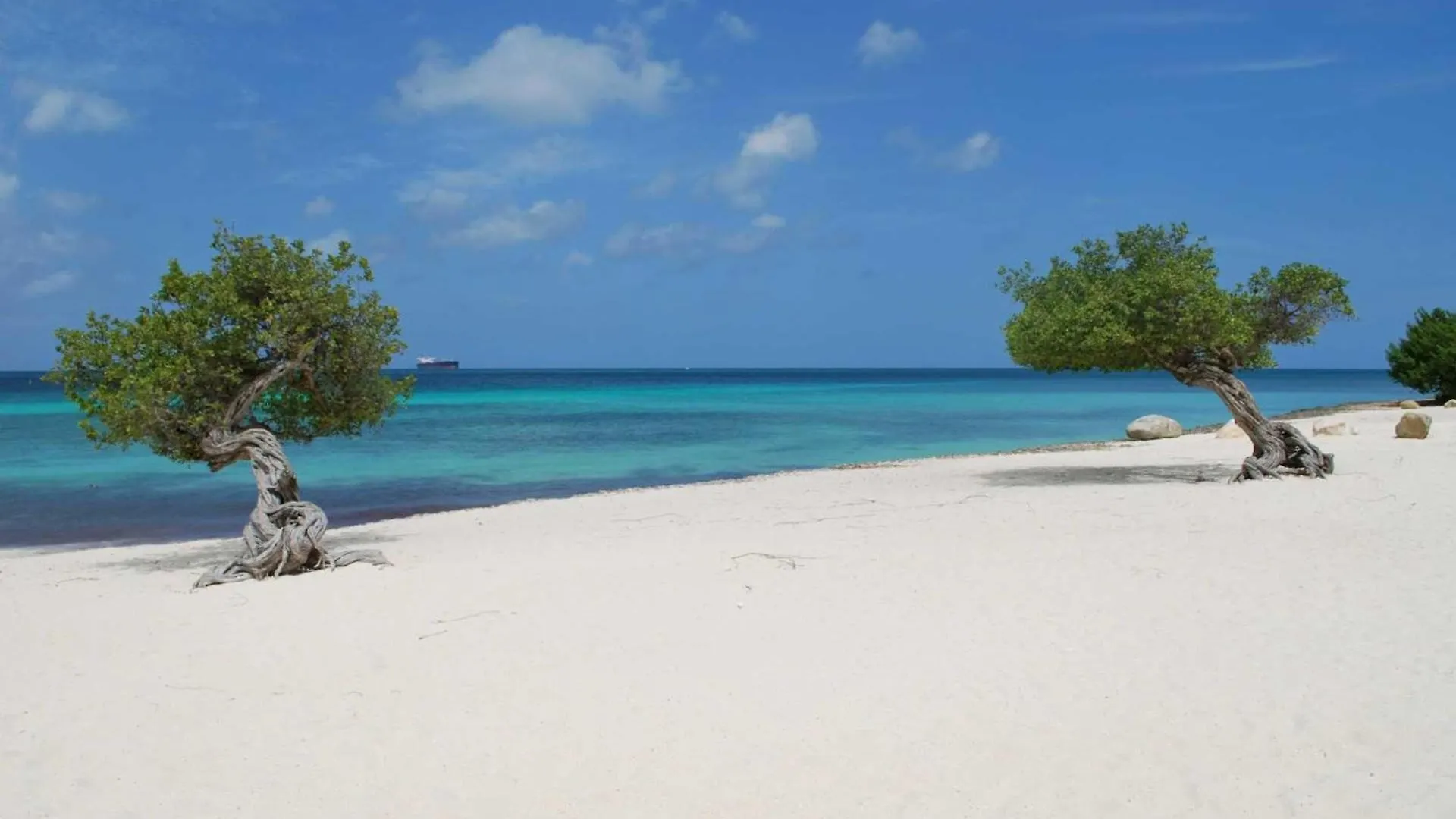 Beachfront - Summer View 2Br Condo - A244 شاطئ بالم أروبا